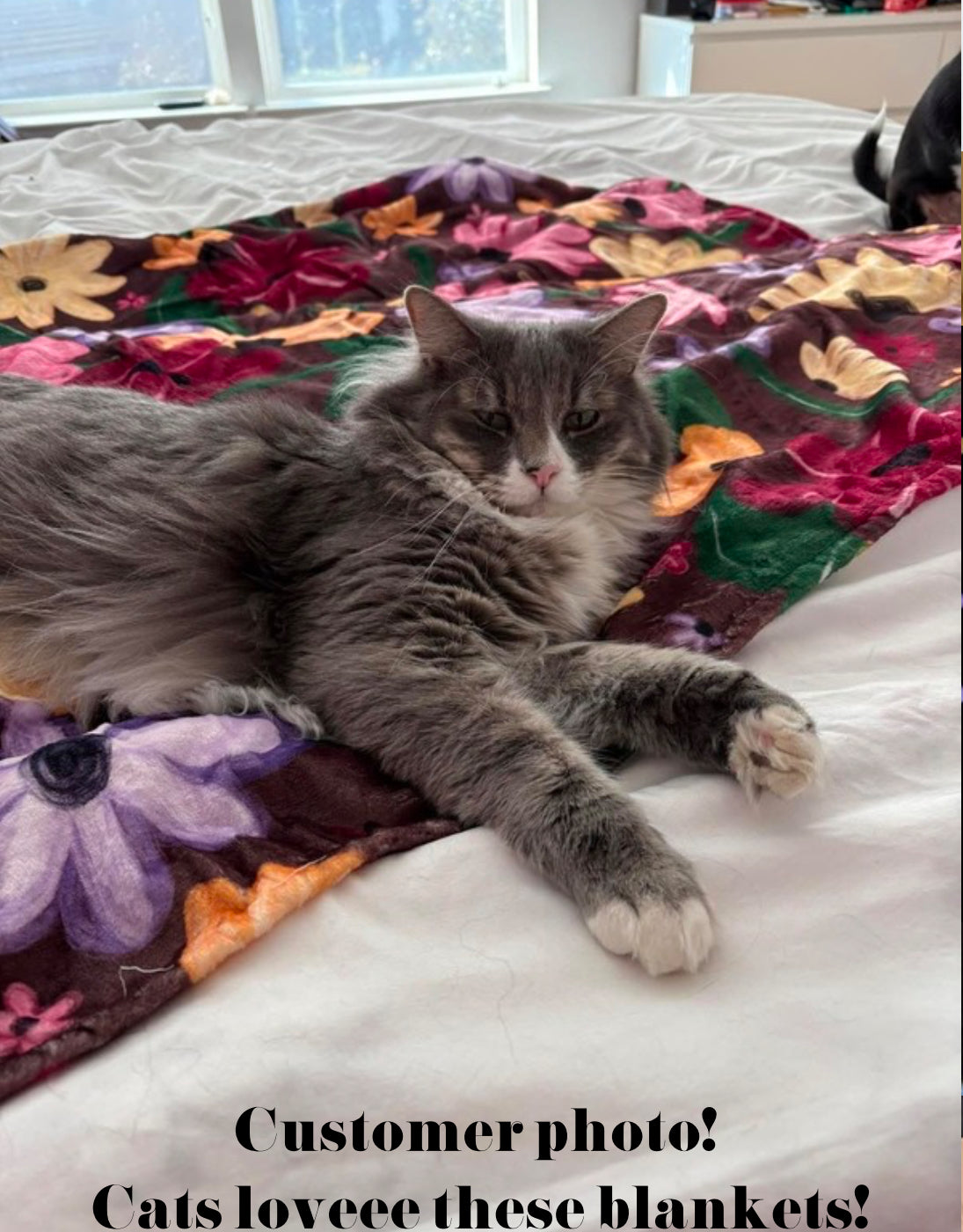 Cotton Candy Love Fleece Mink Blanket PRE-ORDER (Please read description)